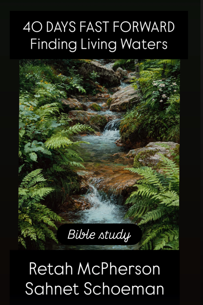 40 Days Fast Forward FINDING LIVING WATERS E-book